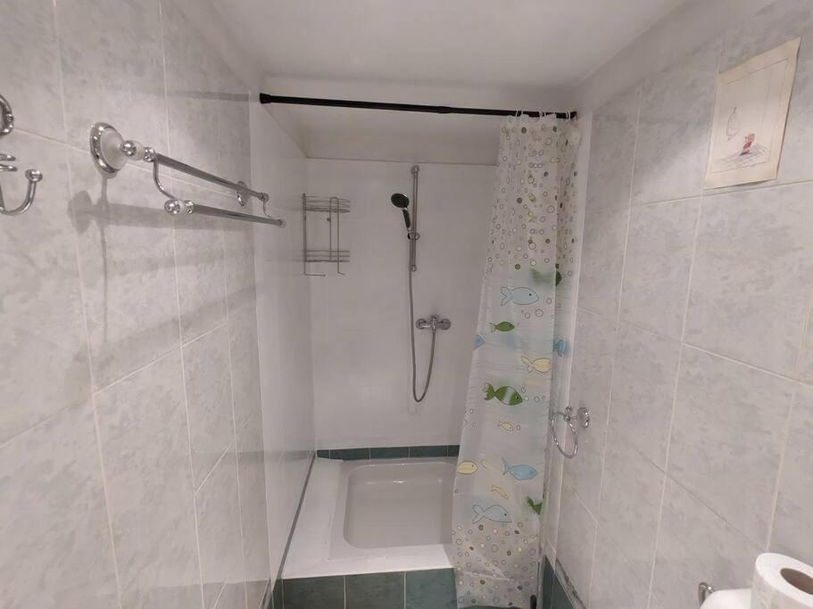 Boheme Central Apartment Temešvár Exteriér fotografie