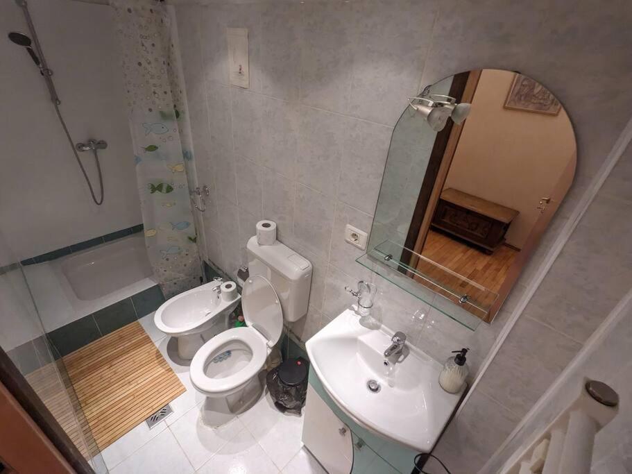 Boheme Central Apartment Temešvár Exteriér fotografie