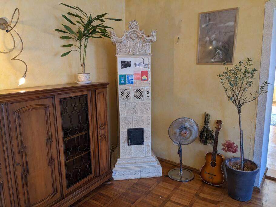 Boheme Central Apartment Temešvár Exteriér fotografie